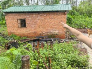 Farmhouse fixed with support from Gold Coin China